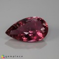 Natural Tourmaline 21.99 Carats Pink Pear 26x16 mm Loose Gemstone - Image 6