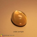 Natural 4 ray golden star moonstone 14.47 Carats Golden Sheen Oval Cabochon 19x14 mm Loose Gemstone - Image 1