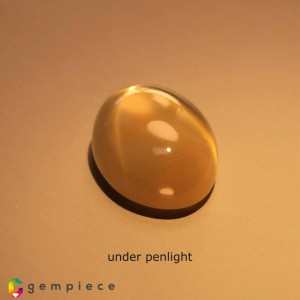 4 ray golden star moonstone  14.47cts - 19x14mm 4 ray golden star moonstone  14.47cts - 19x14mm