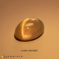 Natural 4 ray golden star moonstone 14.47 Carats Golden Sheen Oval Cabochon 19x14 mm Loose Gemstone - Image 3