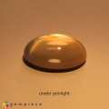 Natural 4 ray golden star moonstone 14.47 Carats Golden Sheen Oval Cabochon 19x14 mm Loose Gemstone - Image 4
