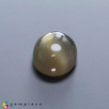 Natural 4 ray golden star moonstone 14.47 Carats Golden Sheen Oval Cabochon 19x14 mm Loose Gemstone - Image 5