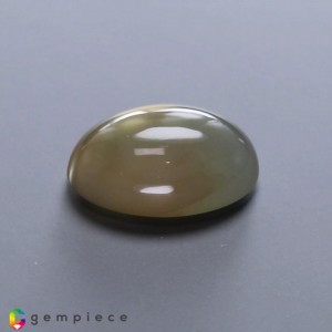 4 ray golden star moonstone  14.47cts - 19x14mm 4 ray golden star moonstone  14.47cts - 19x14mm