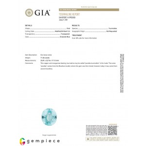 paraiba tourmaline  71.06cts - 26x23mm