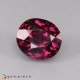 Showing image for rhodolite garnet rhodolite garnet Rhodolite Garnet image