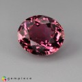 Natural Tourmaline 2.90 Carats Vivid Pink Oval 10x8 mm Loose Gemstone - Image 2