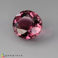 Natural Tourmaline 2.90 Carats Vivid Pink Oval 10x8 mm Loose Gemstone - Image 3