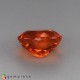 Showing image for Fire Opal Fire Opal Fire Opal image