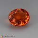 Showing image for Fire Opal Fire Opal Fire Opal image