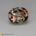 Natural Andalusite 2.69 Carats Yellow Orange Oval 10x8 mm Loose Gemstone - Image 1