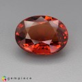 Natural Spessartite garnet 3.32 Carats Fire Orange Oval 10x8 mm Loose Gemstone - Image 1