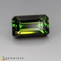 Natural Tourmaline 3.24 Carats Honey Green Emerald 10x6 mm Loose Gemstone - Image 5