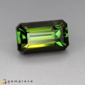 Natural Tourmaline 3.24 Carats Honey Green Emerald 10x6 mm Loose Gemstone - Image 1
