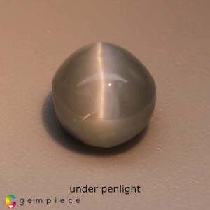 chrysoberyl cats eye  2.16cts - 7x6mm