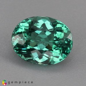 apatite  2.81cts - 10x8mm