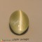 chrysoberyl cats eye  2.68cts - 9x6mm