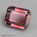 Natural Tourmaline 5.67 Carats Pink to Champagne Emerald 10x9 mm Loose Gemstone - Image 2
