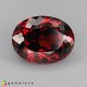 Showing image for spessartite garnet spessartite garnet Spessartite Garnet image