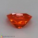 Showing image for fire opal fire opal Fire Opal image