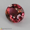 Natural Tourmaline 4.04 Carats Vivid Pink Oval 11x9 mm Loose Gemstone - Image 3