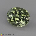 Natural Tourmaline 2.14 Carats Pastel Green Oval 8x7 mm Loose Gemstone - Image 2