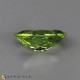 peridot Peridot image