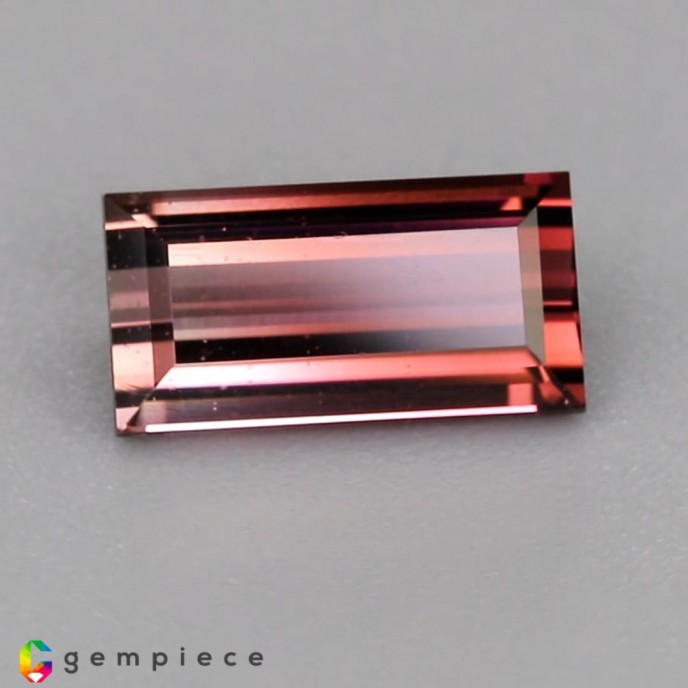 tourmaline Bi-color Tourmaline image