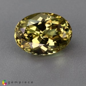 grossular garnet  2.59cts - 10x7mm