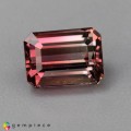 Natural Tourmaline 1.44 Carats Pink to Champagne Emerald Cut 7x5 mm Loose Gemstone - Image 7