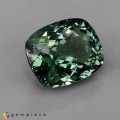 Natural Apatite 5.39 Carats Hunter Green Cushion 12x10 mm Loose Gemstone - Image 4