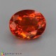 fire opal Fire Opal image