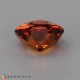 Showing image for spessartite garnet spessartite garnet Spessartite Garnet image