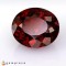 hessonite garnet  9.09cts - 13x11mm