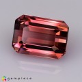 Natural Tourmaline 2.81 Carats Pink to Champagne Emerald Cut 9x6 mm Loose Gemstone - Image 3