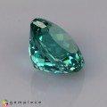 Natural Apatite 2.70 Carats Paraiba Blue Green Round 9x6 mm Loose Gemstone - Image 3