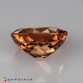 Natural Beryl 14.49 Carats Vivid Peach Orange Oval 17x15 mm Loose Gemstone - Image 3