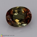 Natural Andalusite 2.94 Carats Yellow Orange Oval 10x8 mm Loose Gemstone - Image 6