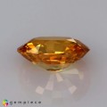 Natural Zircon 2.81 Carats Golden Yellow Oval 9x7 mm Loose Gemstone - Image 3
