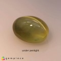 Natural Chrysoberyl cats eye 2.19 Carats Honey Yellow Oval Cabochon 8x6 mm Loose Gemstone - Image 5