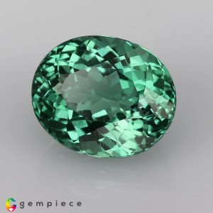apatite  4.11cts - 10x8mm