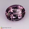 Natural Spinel 3.47 Carats Purple Oval 10x8 mm Loose Gemstone - Image 1