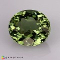 Natural Tourmaline 2.93 Carats Green Oval 10x8 mm Loose Gemstone - Image 2
