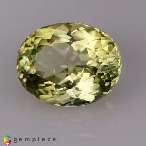 montebrasite  2.99cts - 9x8mm