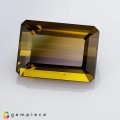 Natural Tourmaline 7.89 Carats Honey Yellow Emerald Cut 14x10 mm Loose Gemstone - Image 2