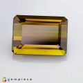 Natural Tourmaline 7.89 Carats Honey Yellow Emerald Cut 14x10 mm Loose Gemstone - Image 6