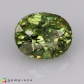 Natural Demantoid garnet 1.27 Carats Green Oval 7x5 mm Loose Gemstone - Image 1
