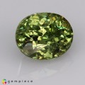 Natural Demantoid garnet 1.27 Carats Green Oval 7x5 mm Loose Gemstone - Image 7