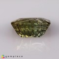 Natural Tourmaline 8.81 Carats Honey Yellow Fancy  15x11 mm Loose Gemstone - Image 4