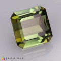 Natural Tourmaline 3.81 Carats Honey Green Octagon 8x6 mm Loose Gemstone - Image 6