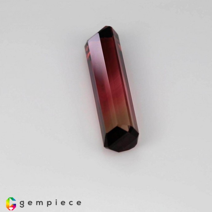 bi color tourmaline Bi-color Tourmaline image